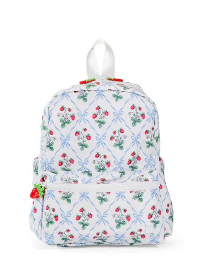 Mini Backpacker